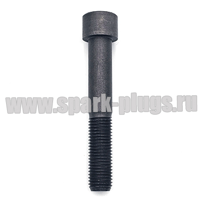 Цилиндрический винт