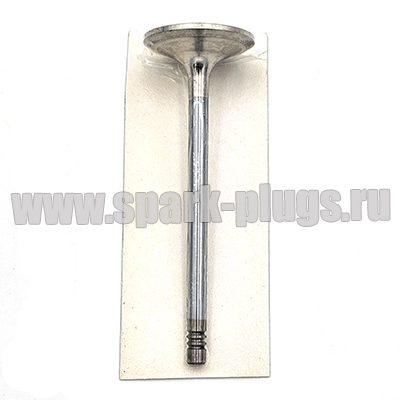 Клапан Выпуск 